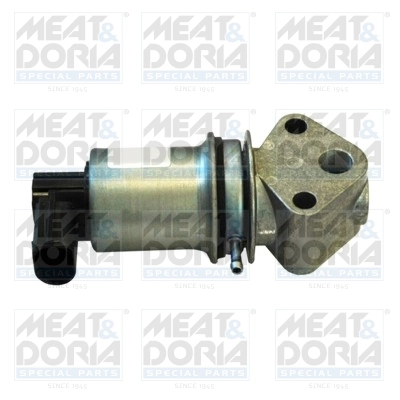 EGR Valve